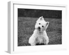 Winnie-Kim Levin-Framed Photographic Print