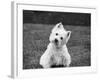 Winnie-Kim Levin-Framed Photographic Print