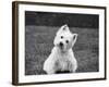 Winnie-Kim Levin-Framed Photographic Print