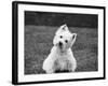 Winnie-Kim Levin-Framed Photographic Print