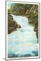 Winona Falls, Delaware Water Gap, Pennsylvania-null-Mounted Art Print