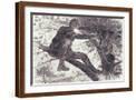 Brown Frame