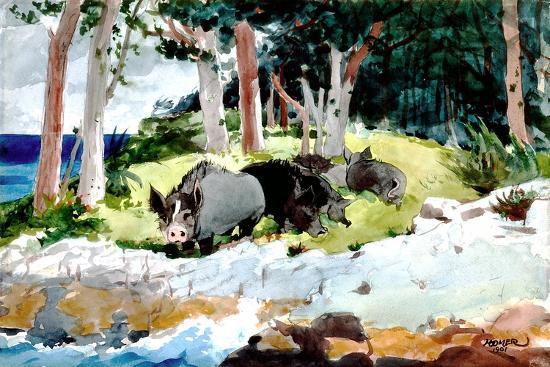 Giclee Print, , large