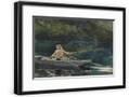 Black Frame
