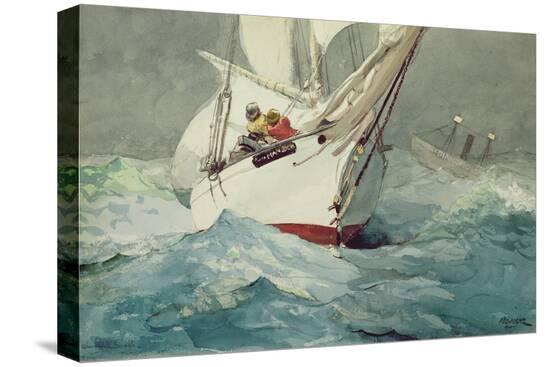 Stretched Canvas Print, , large