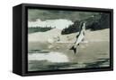 Canvas Black