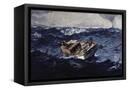 Canvas Black