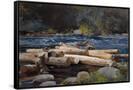 Canvas Black