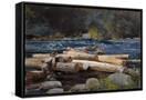 Canvas Black