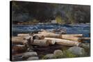 Stretched Canvas