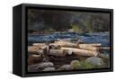 Canvas Black