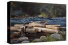 Stretched Canvas