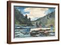 Brown Frame