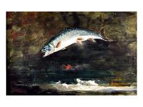 Jumping Trout-Winslow Homer-Giclee Print