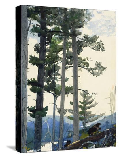 Stretched Canvas Print, , large