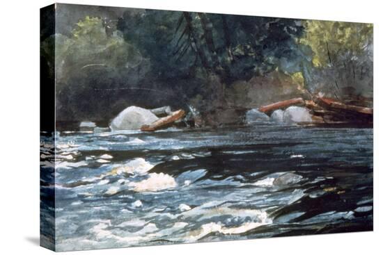 Stretched Canvas Print, , large