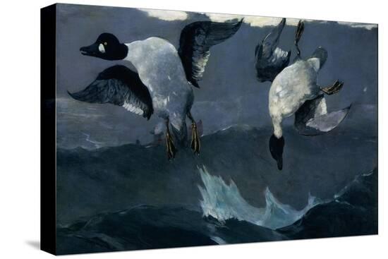 Stretched Canvas Print, , large