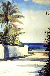 Road in Nassau, 1898-99-Winslow Homer-Giclee Print