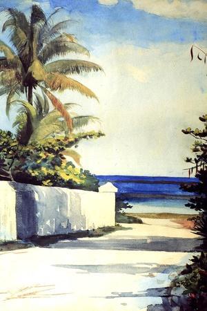 Road in Nassau, 1898-99