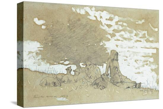 Stretched Canvas Print, , large