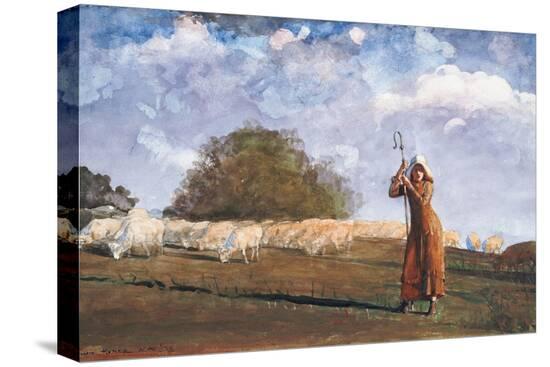 Stretched Canvas Print, , large