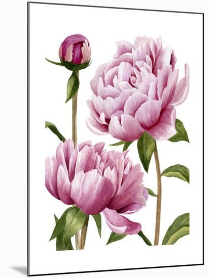 Winsome Peonies I-Grace Popp-Mounted Art Print