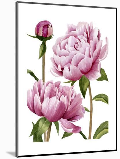 Winsome Peonies I-Grace Popp-Mounted Art Print