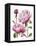 Winsome Peonies I-Grace Popp-Framed Stretched Canvas