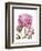 Winsome Peonies II-Grace Popp-Framed Art Print