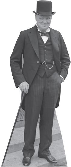 Cardboard Cutouts, , large