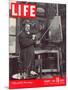 Winston Churchill at a Painting Easel, January 7, 1946-Hans Wild-Mounted Photographic Print