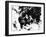 Winston Churchill-Thomas Fall-Framed Photographic Print