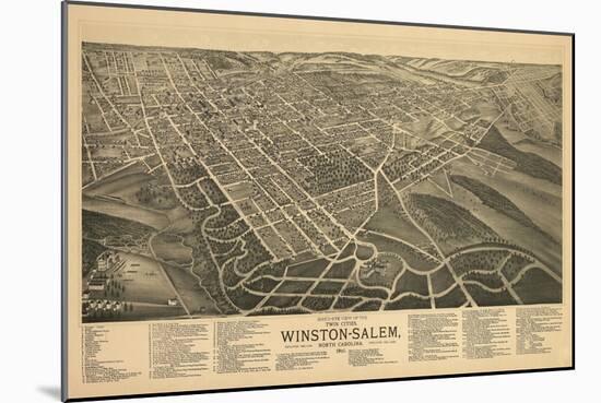 Winston-Salem, North Carolina - Panoramic Map-Lantern Press-Mounted Art Print