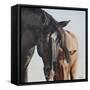 Winston-Renee Gould-Framed Stretched Canvas