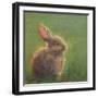 Winston-Marilyn Wendling-Framed Art Print