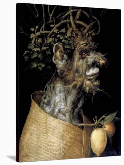 Winter, 1563-Giuseppe Arcimboldi-Stretched Canvas