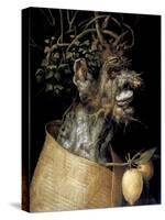 Winter, 1563-Giuseppe Arcimboldi-Stretched Canvas