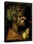 Winter, 1573-Giuseppe Arcimboldo-Stretched Canvas
