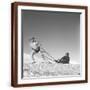 Brown Frame
