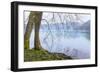 Winter Alders I-Kathy Mahan-Framed Photographic Print