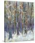 Winter Angels in the Aspen-Amy Dixon-Stretched Canvas