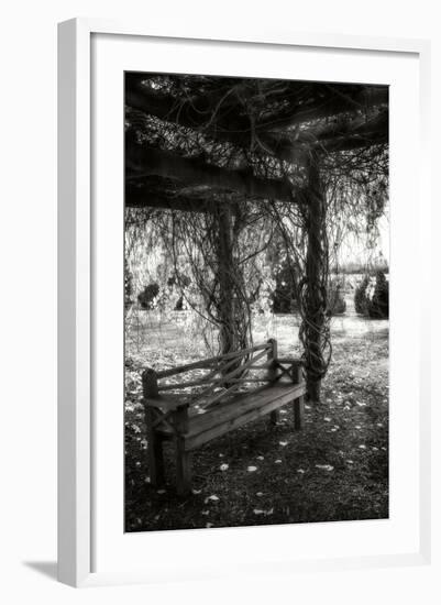 Winter Arbor I-Alan Hausenflock-Framed Photographic Print