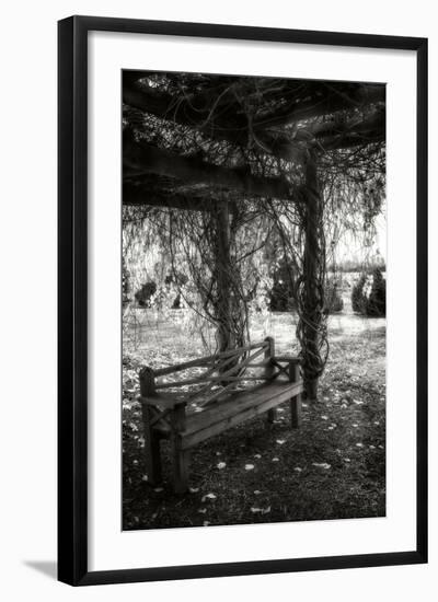 Winter Arbor I-Alan Hausenflock-Framed Photographic Print