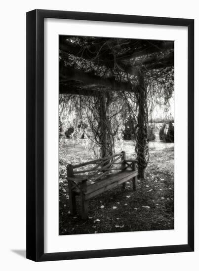 Winter Arbor I-Alan Hausenflock-Framed Photographic Print