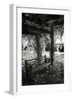 Winter Arbor I-Alan Hausenflock-Framed Photographic Print