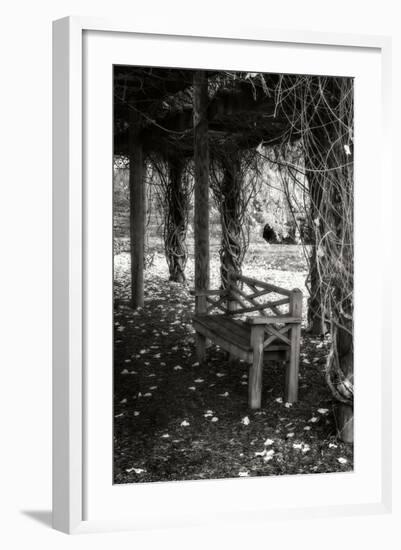 Winter Arbor II-Alan Hausenflock-Framed Photographic Print
