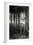 Winter Arbor II-Alan Hausenflock-Framed Photographic Print