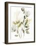 Winter Arrangement I-Jennifer Goldberger-Framed Art Print