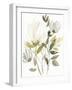 Winter Arrangement I-Jennifer Goldberger-Framed Art Print