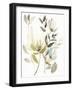 Winter Arrangement II-Jennifer Goldberger-Framed Art Print